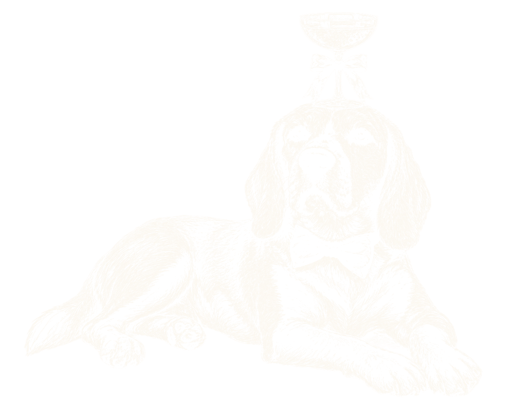 Archie sketch